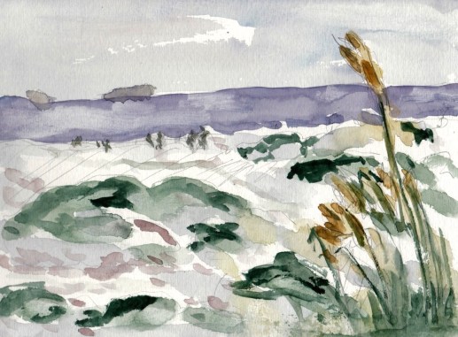 Del Coronado - 1 (2)