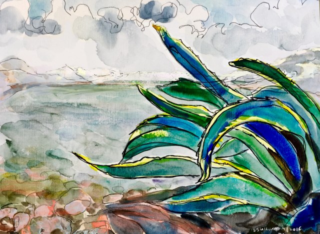 Agave at the the Sea of Galilee