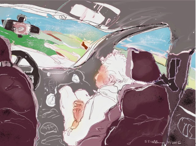 My View from the Back Seat