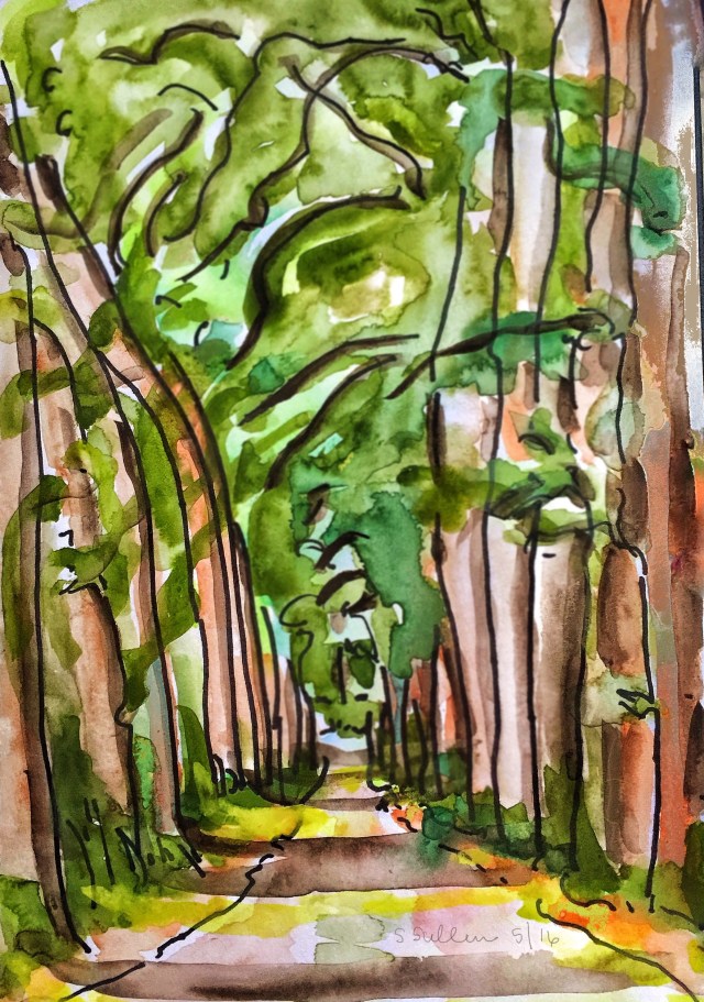 An Avenue of Trees