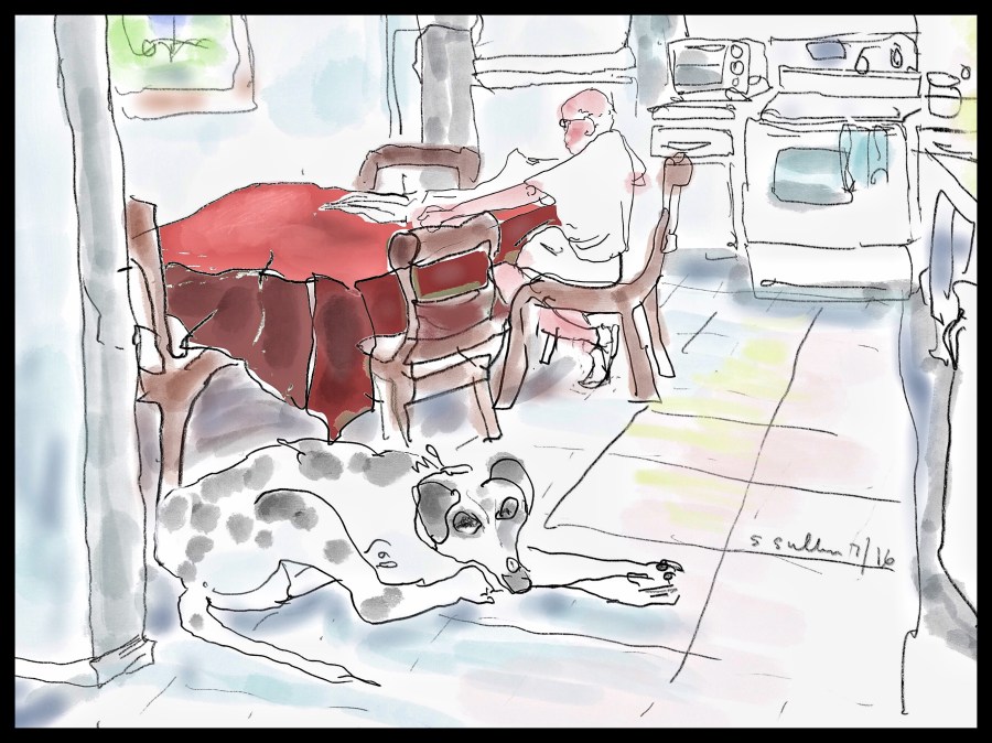 Dog Waits While Man Reads Paper