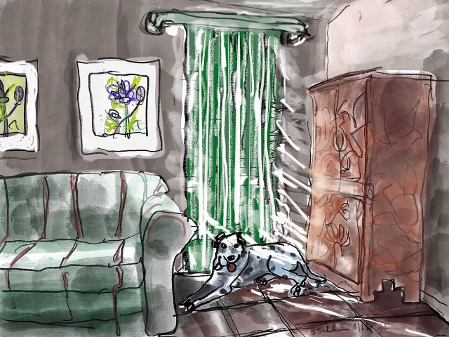 Luke Sunbathes in August Heat Wave