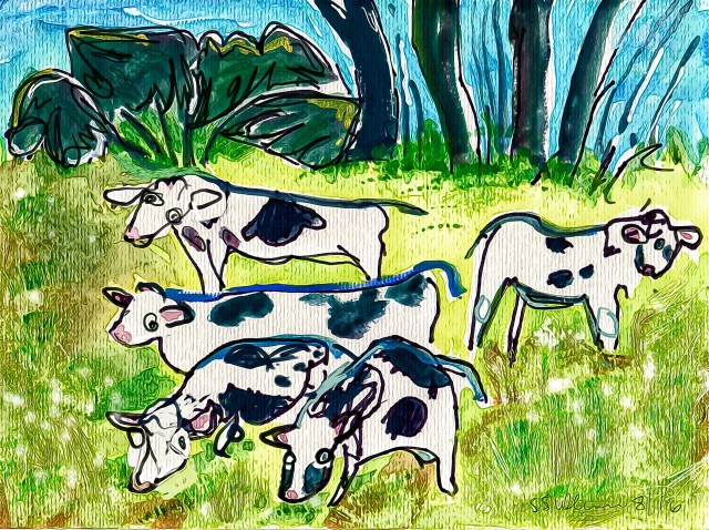 Gouche Cows