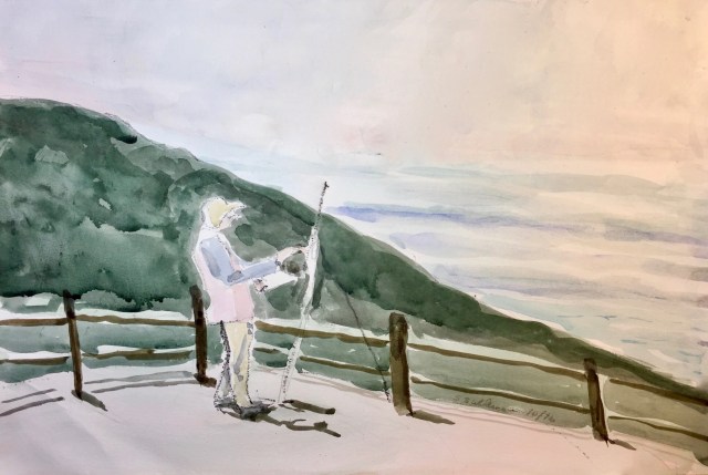 An Artist at Torrey Pines State Park