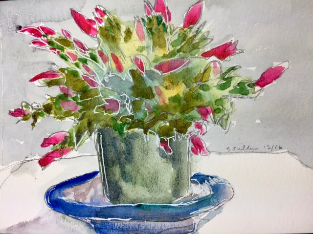 Christmas Cactus