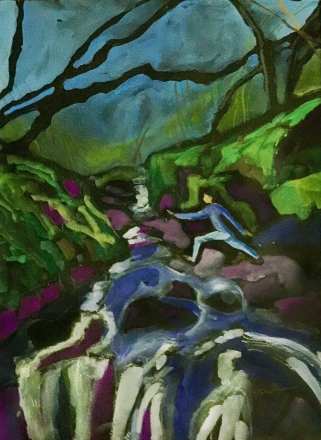 Spring at Tilden Park