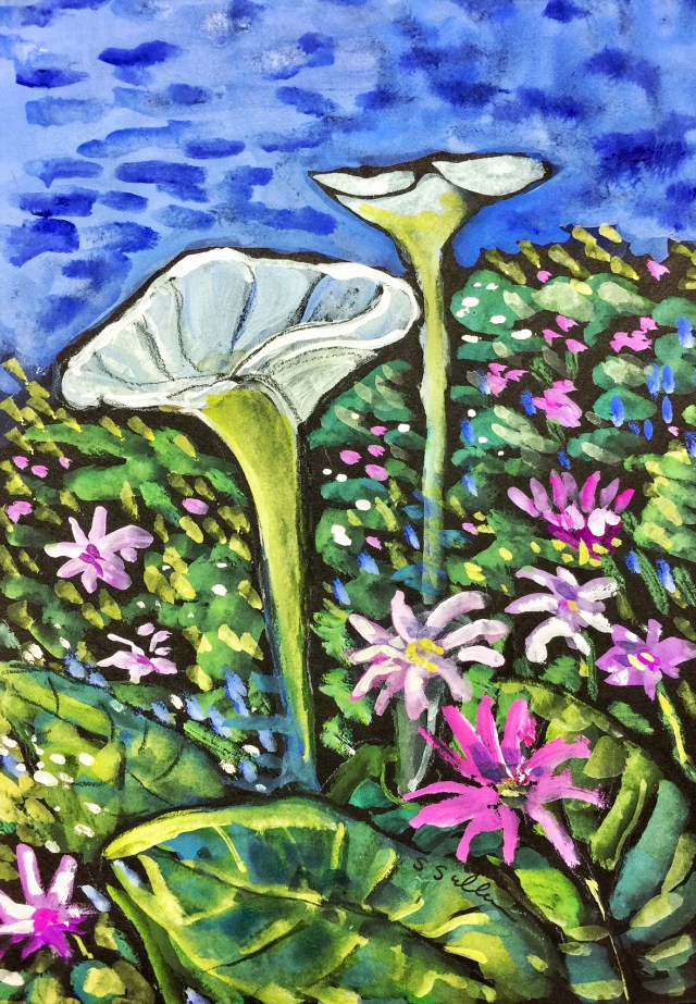 San Diego Hillside Sketch of a flower covered hillside in San Diego by Sarah Sullivan