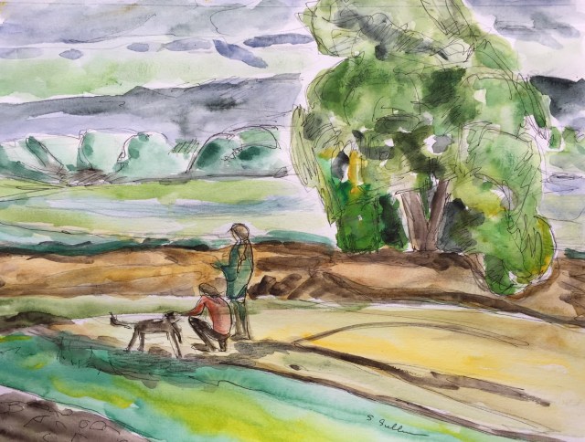 Along a Petaluma Path