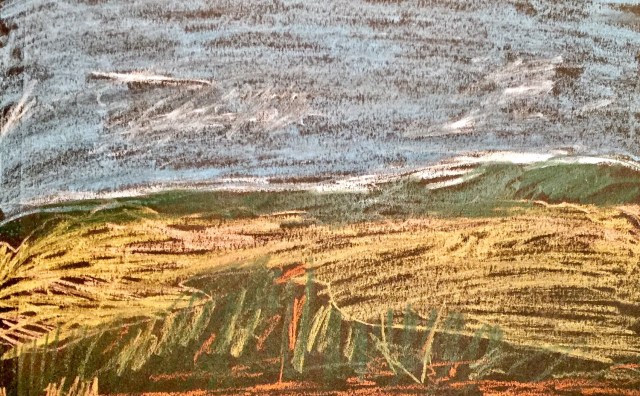 Hillside Near Austin by Sarah Sullivan