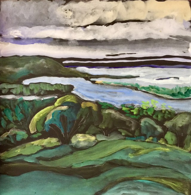 Looking West from Kate Sessions Park by Sarah Sullivan