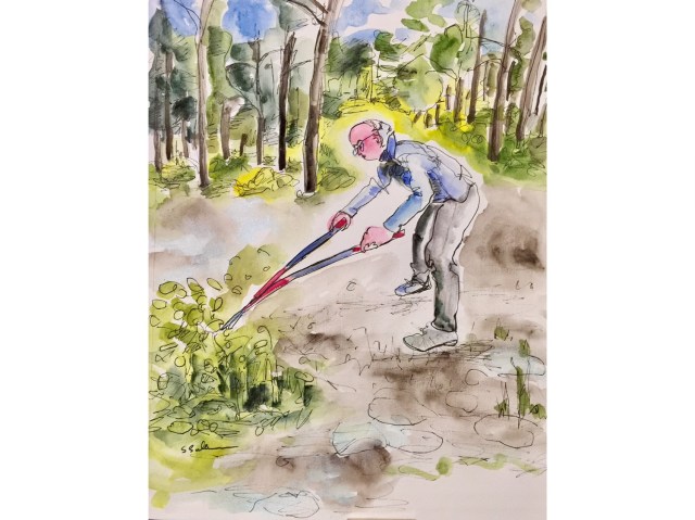 Cutting Away the Scrub Oak by Sarah Sullivan