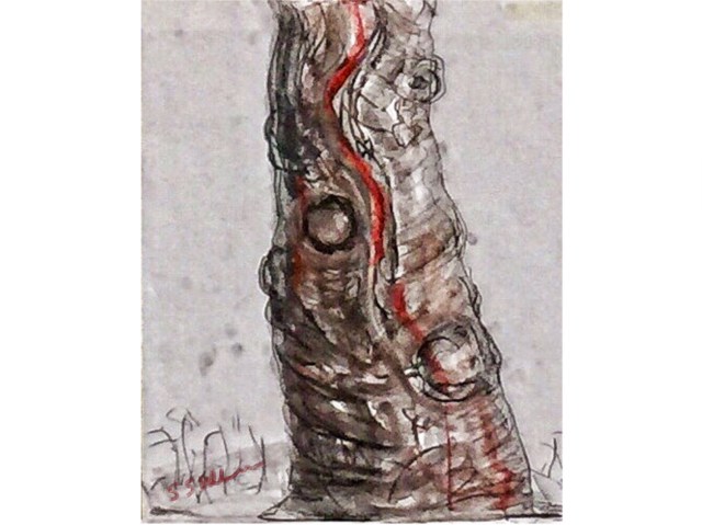 Charcoal Sketch of a Tree Trunk by Sarah Sullivan