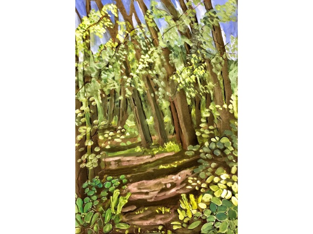 Sketch of a Thicket of Cottonwood Trees by Sarah Sullivan