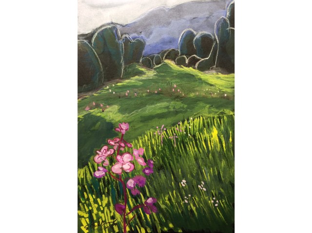 Sketch of a Telluride ski slope meadow by Sarah Sullivan