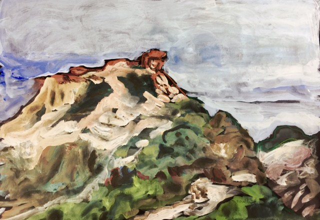 Sketch of the brown cliffs at Torrey Pines State Reserve by Sarah Sullivan 