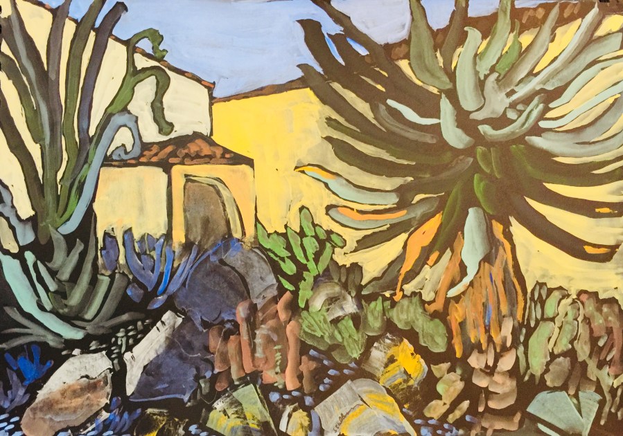 Sketch of plants in the Mediterranean Garden at SDSU by Sarah Sullivan