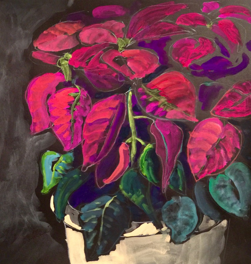 Sketch of a Poinsettia by Sarah Sullivan