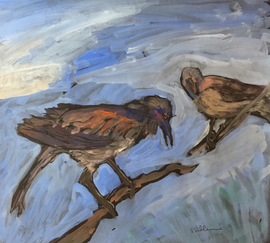 Sketch of two stuffed birds by Sarah Sullivan
