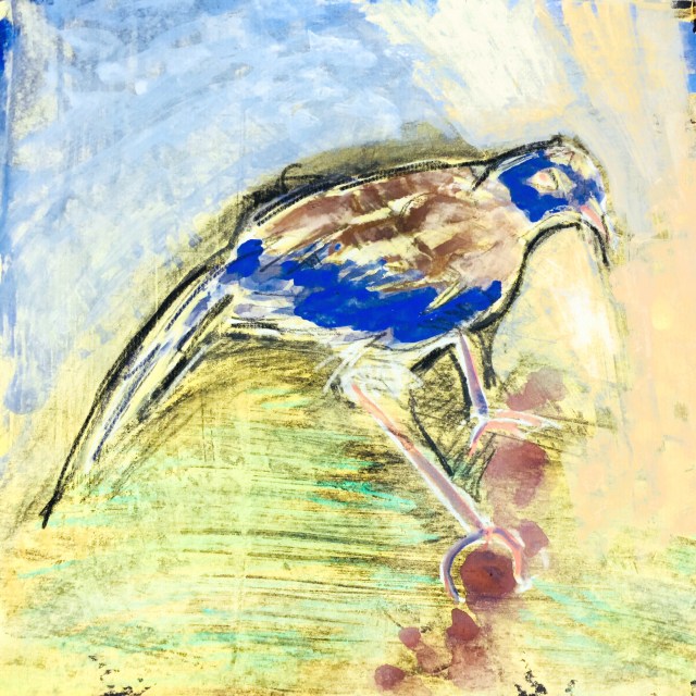 Sketch of a stuffed bird by Sarah Sullivan