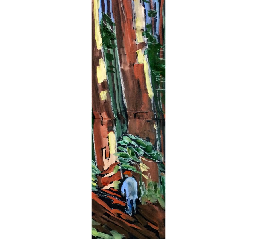 Sketch by Sarah Sullivan of a man walking in the Redwood Forest