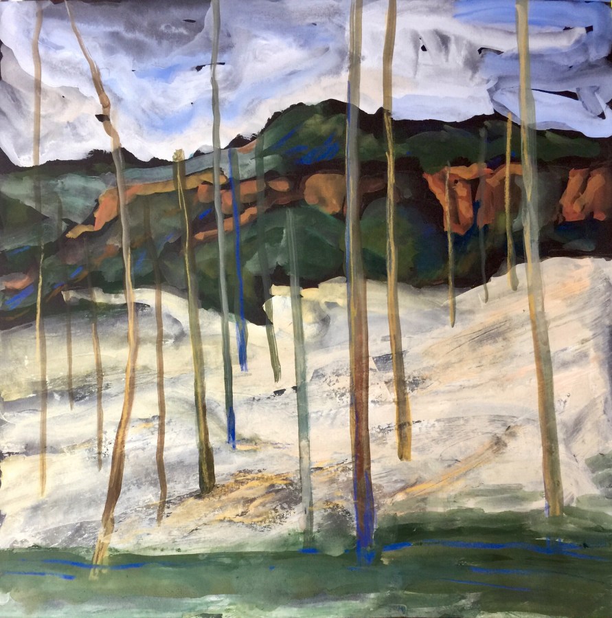 Sketch by Sarah Sullivan of a Torrey Pines Canyon