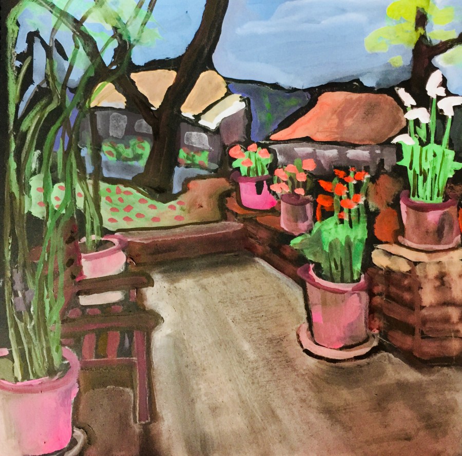 Sketch of some potted plants by Sarah Sullivan