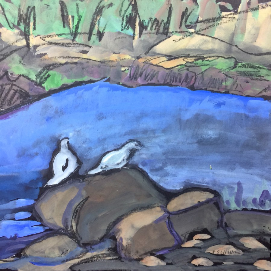 Sketch by Sarah Sullivan of Two Doves at a Lake