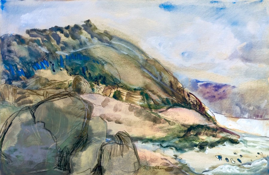Sketch by Sarah Sullivan of Torrey Pines
