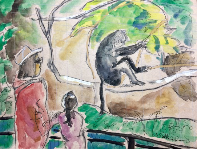 Sketch by Sarah Sullivan of Primates at the San Diego Zoo