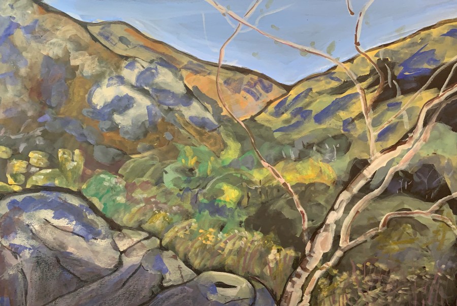 Sketch by Sarah Sullivan at Mission Trails PArk