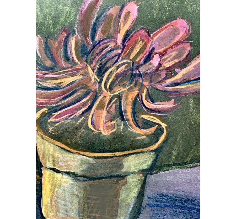 Multimedia sketch of a plant on a desk