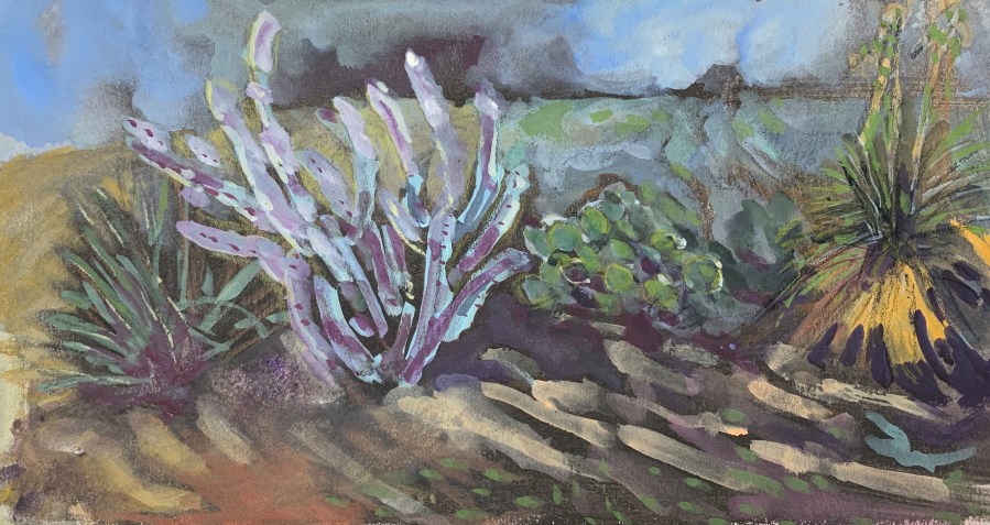 Sketch of a few succulents from Balboa Park
